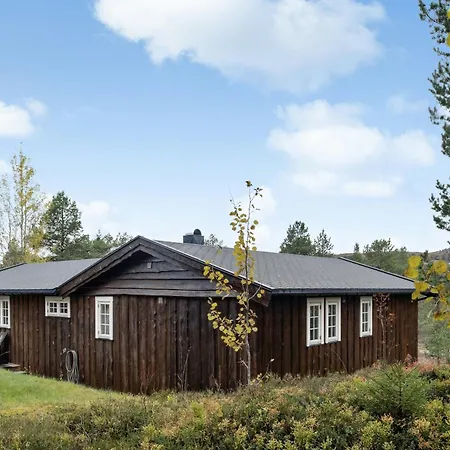 Old Swiss Charm In Seljestad *